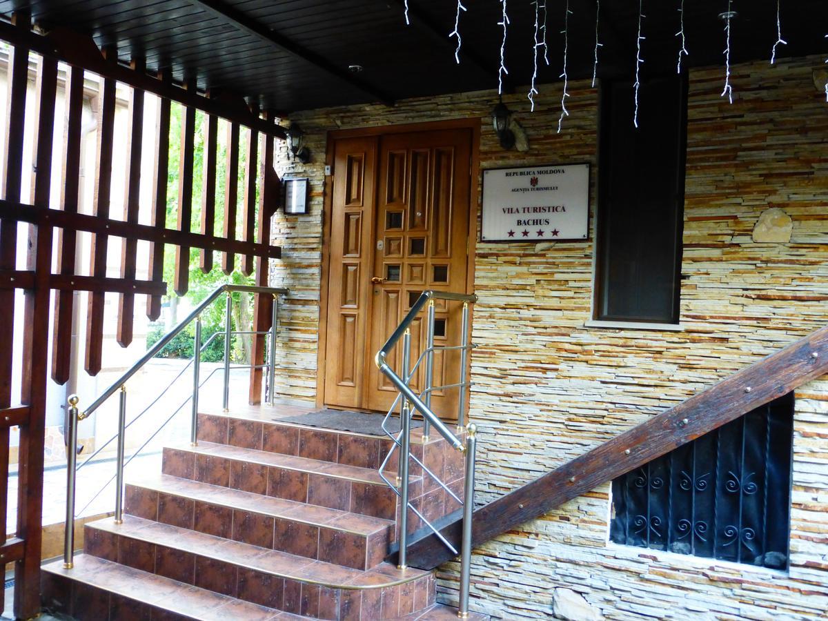Hotel Bachus 基希讷乌 外观 照片