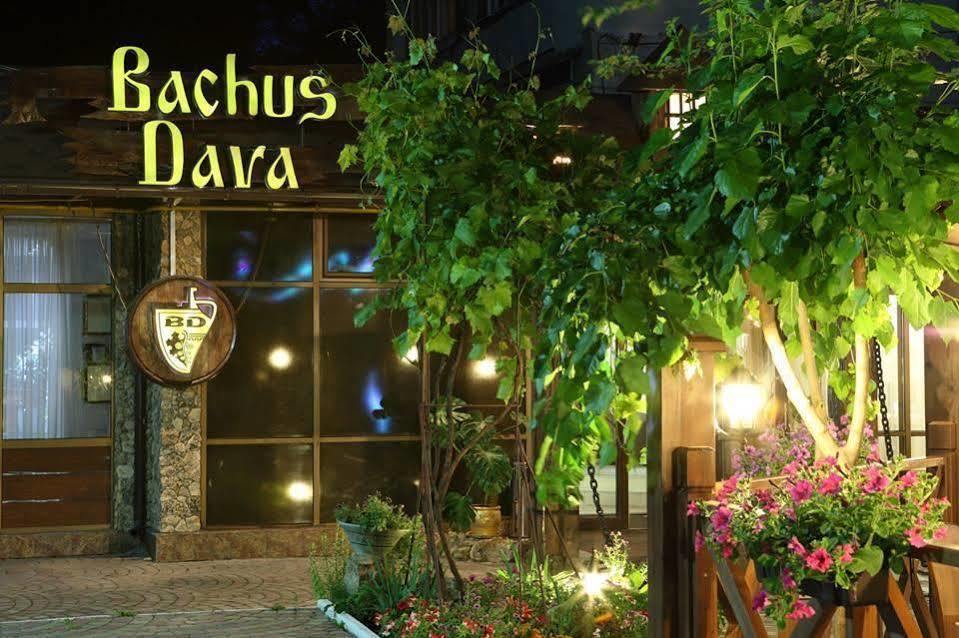 Hotel Bachus 基希讷乌 外观 照片